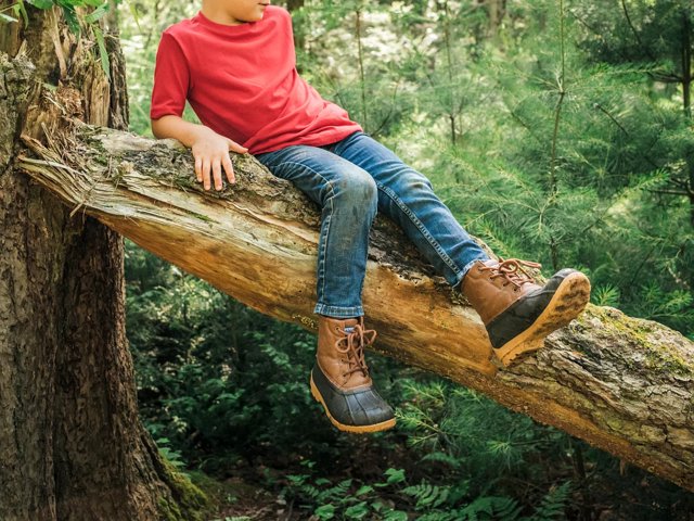 Sperry boots at dsw 2025