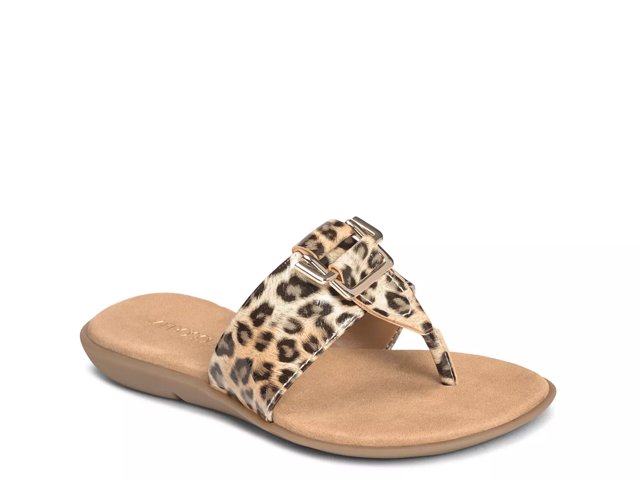 Aerosoles dsw shop