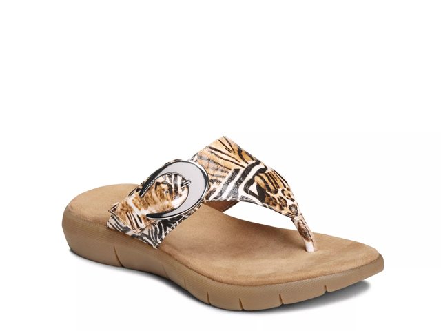 A2 sales aerosoles dsw