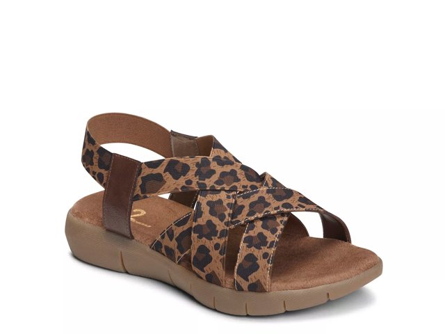 A2 aerosoles dsw top