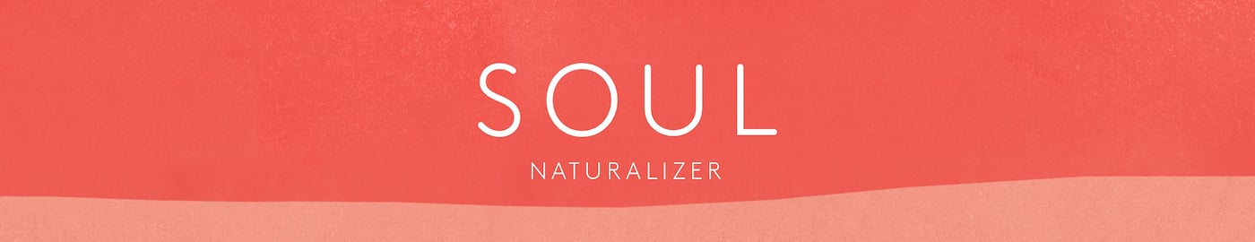 SOUL Naturalizer Women's Solo Medium/Wide Casual Sandal